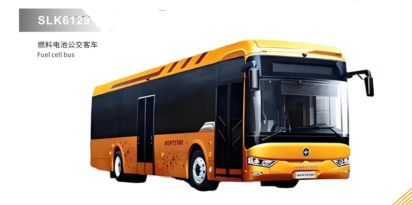 Sunlong Bus 10