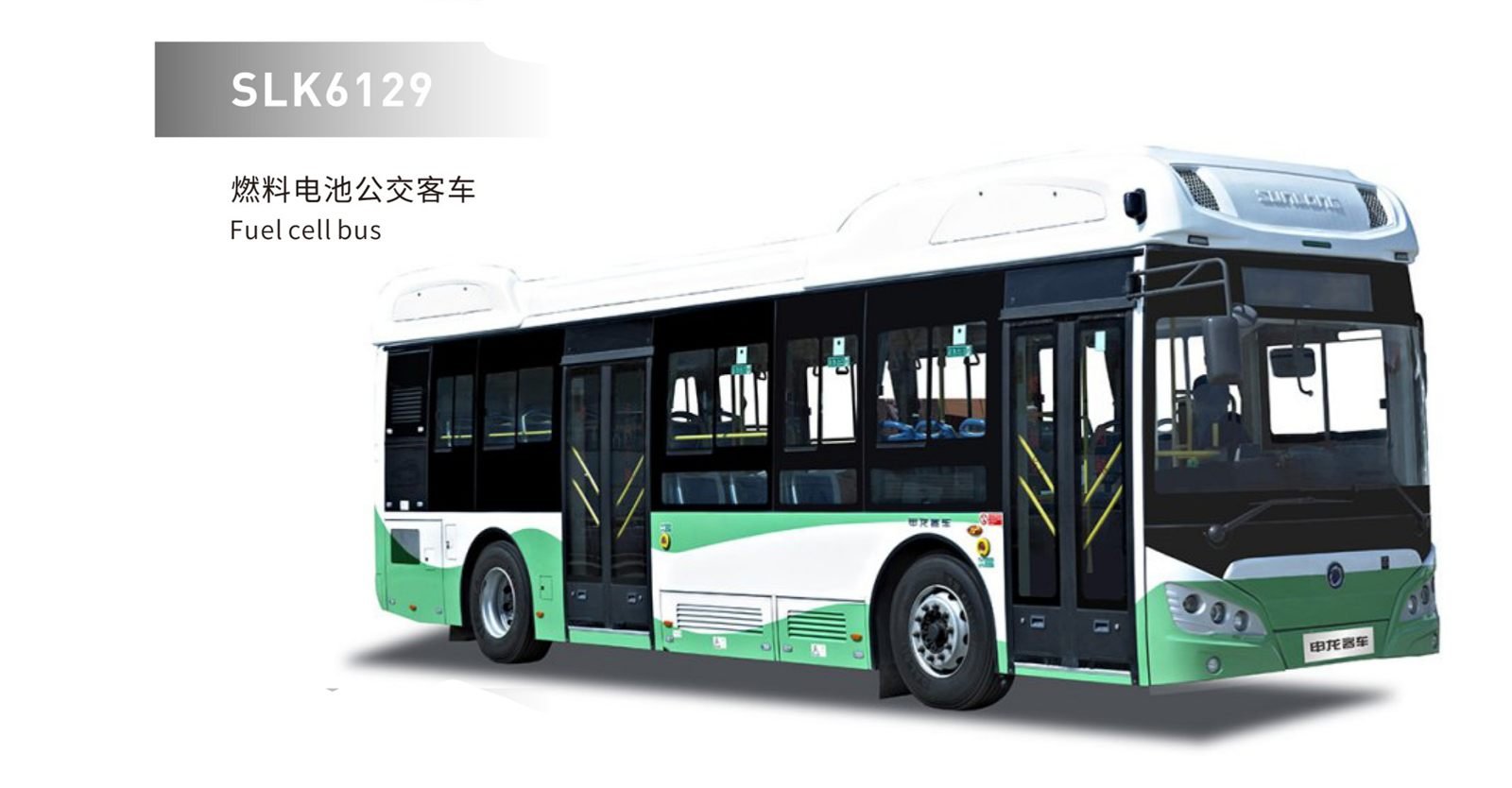 Sunlong Bus 6